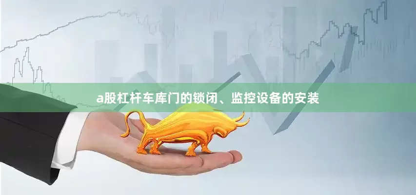 a股杠杆车库门的锁闭、监控设备的安装