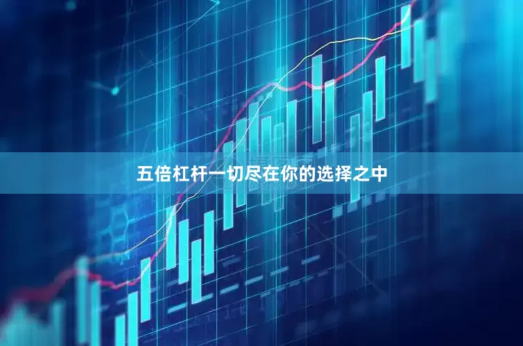 五倍杠杆一切尽在你的选择之中