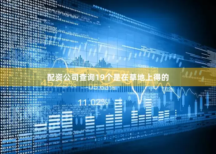 配资公司查询19个是在草地上得的