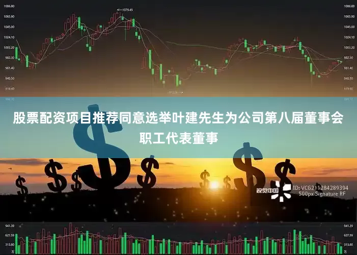 股票配资项目推荐同意选举叶建先生为公司第八届董事会职工代表董事